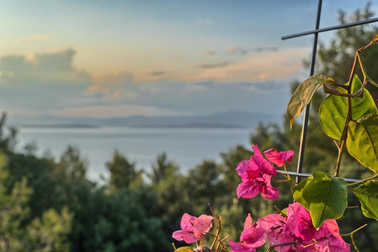 House Sunset Haven Estate Villa *